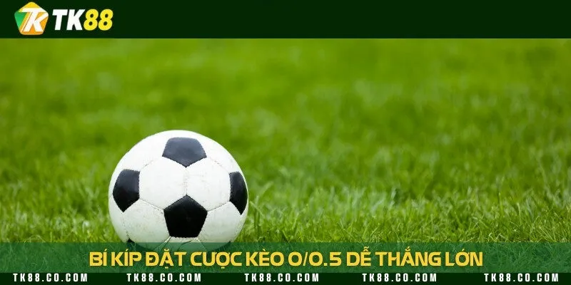 4 chiến lược đơn giản nhưng vô cùng hiệu quả