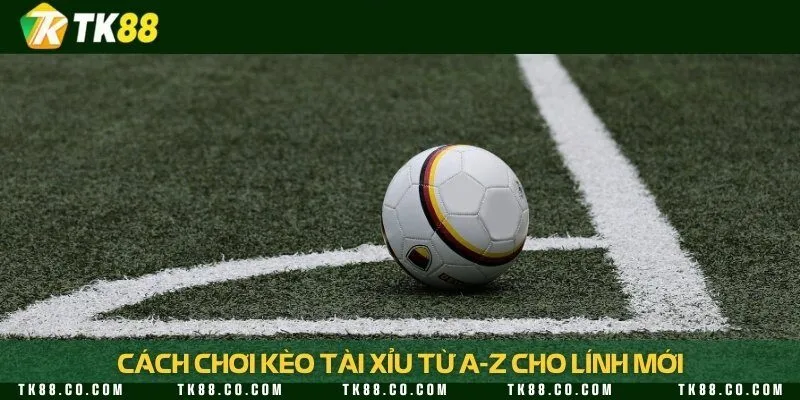 Hướng dẫn cách vào tiền kèo tài xỉu chuẩn nhất