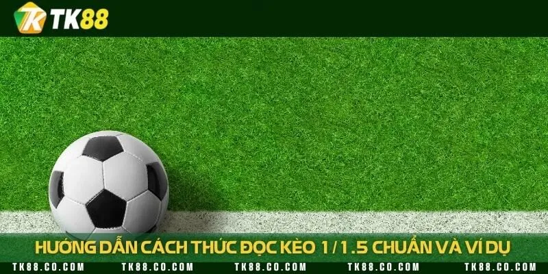 Hướng dẫn cách tính kèo đơn giản nhất cho newbie