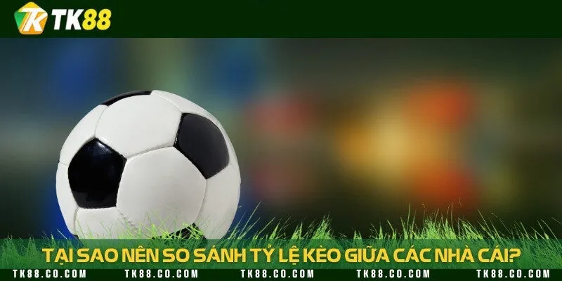 So sánh tỷ lệ cược với các nhà cái khác là cách tốt nhất để né kèo bẫy